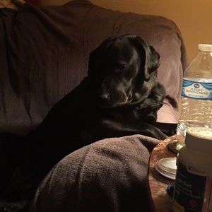 Meet your Posher, Christina